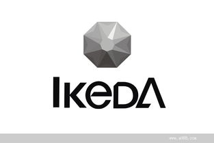 池田汽车精品（佛山）的品牌战略升级 从VI设计到整合营销传播