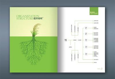 绵阳唯尚品牌推广全方位解决方案